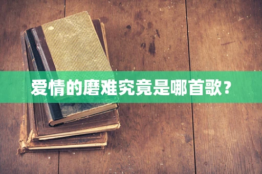 爱情的磨难究竟是哪首歌？