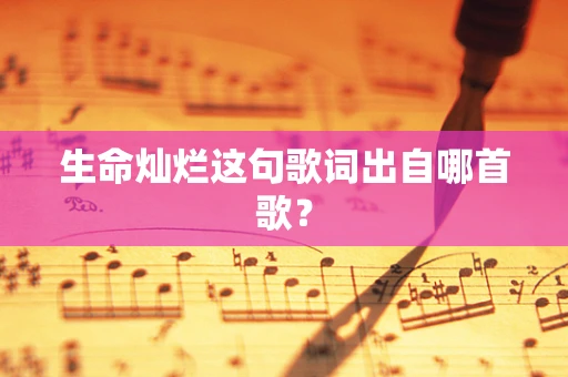 生命灿烂这句歌词出自哪首歌？