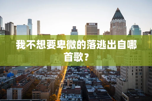 我不想要卑微的落逃出自哪首歌？