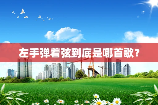 左手弹着弦到底是哪首歌？