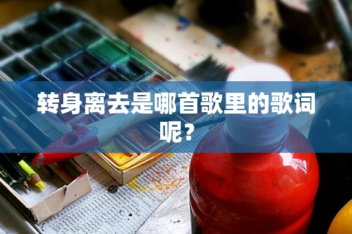 转身离去是哪首歌里的歌词呢？