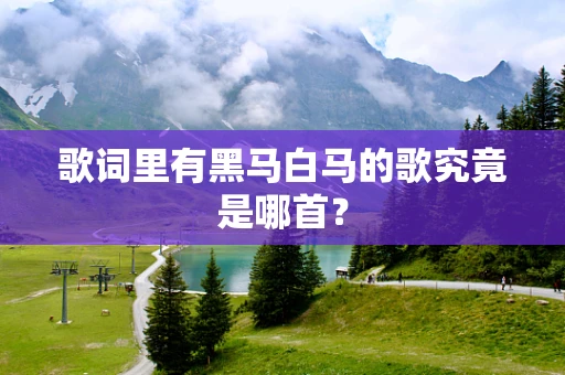 歌词里有黑马白马的歌究竟是哪首？