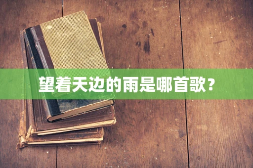 望着天边的雨是哪首歌？