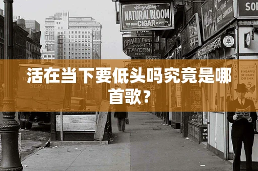 活在当下要低头吗究竟是哪首歌？