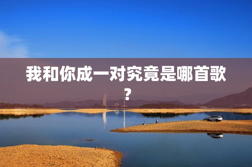 我和你成一对究竟是哪首歌？