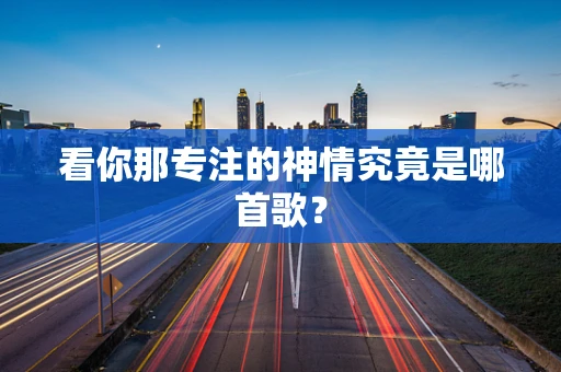 看你那专注的神情究竟是哪首歌？