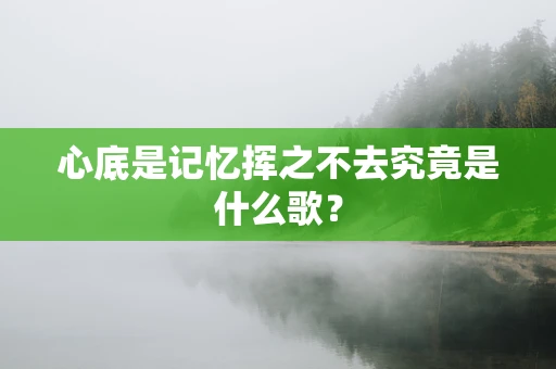 心底是记忆挥之不去究竟是什么歌？