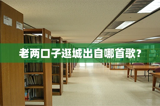 老两口子逛城出自哪首歌？