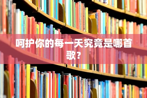 呵护你的每一天究竟是哪首歌？