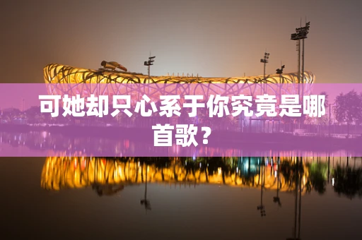 可她却只心系于你究竟是哪首歌？