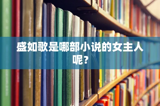 盛如歌是哪部小说的女主人呢？