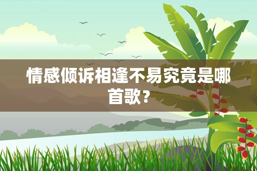 情感倾诉相逢不易究竟是哪首歌？