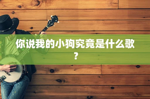 你说我的小狗究竟是什么歌？