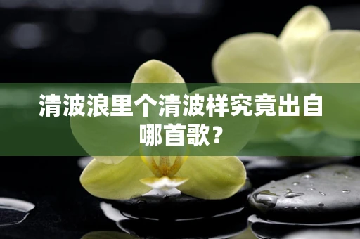 清波浪里个清波样究竟出自哪首歌？