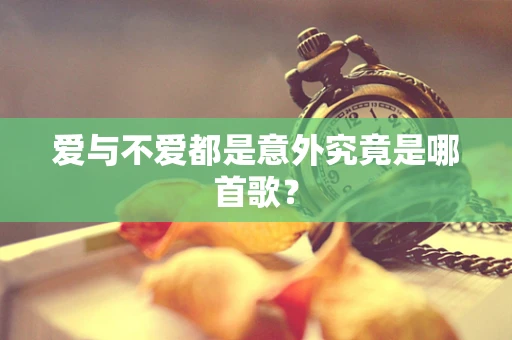 爱与不爱都是意外究竟是哪首歌？