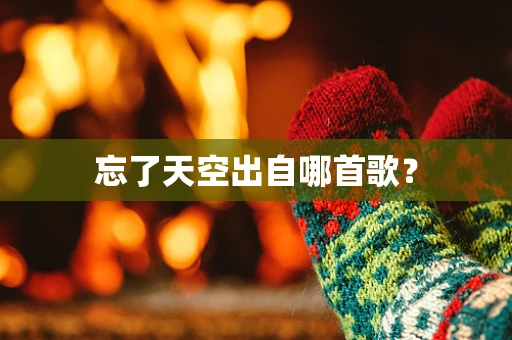 忘了天空出自哪首歌？