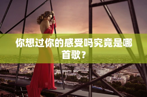 你想过你的感受吗究竟是哪首歌？