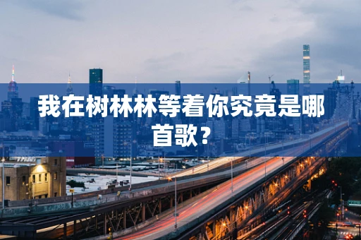我在树林林等着你究竟是哪首歌？