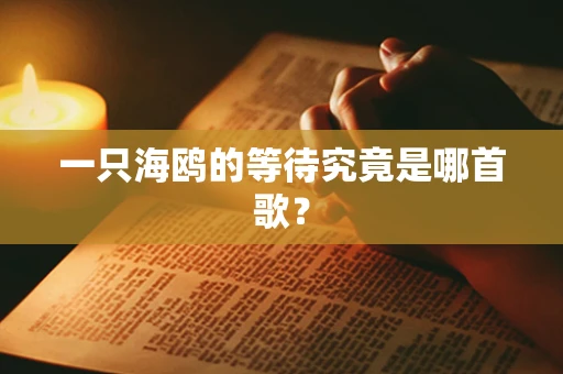 一只海鸥的等待究竟是哪首歌？