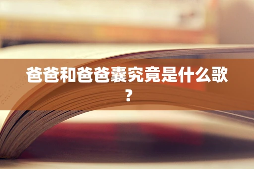 爸爸和爸爸囊究竟是什么歌？