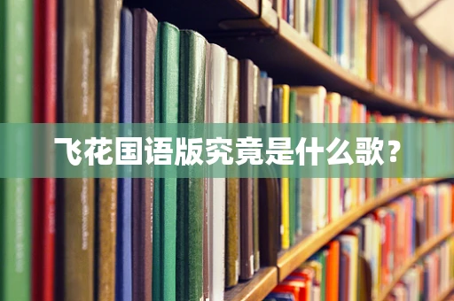 飞花国语版究竟是什么歌？