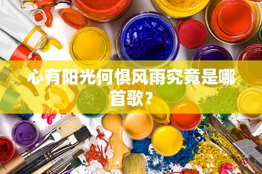 心有阳光何惧风雨究竟是哪首歌？