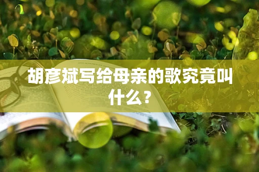 胡彦斌写给母亲的歌究竟叫什么？