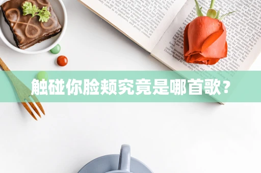 触碰你脸颊究竟是哪首歌？