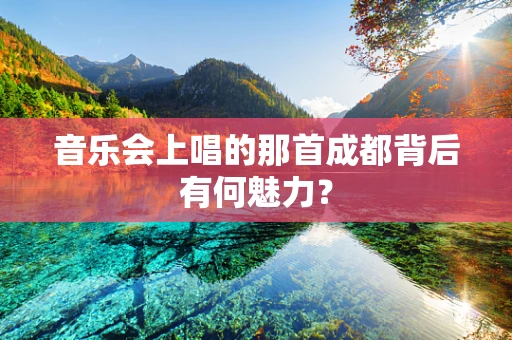 音乐会上唱的那首成都背后有何魅力？