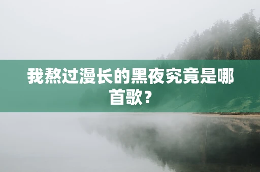 我熬过漫长的黑夜究竟是哪首歌？