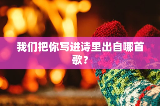 我们把你写进诗里出自哪首歌？