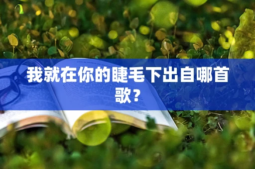 我就在你的睫毛下出自哪首歌？