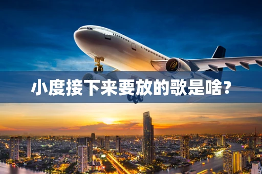 小度接下来要放的歌是啥？
