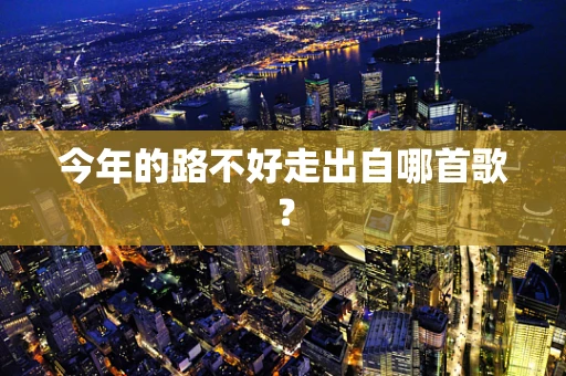 今年的路不好走出自哪首歌？