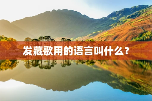 发藏歌用的语言叫什么？