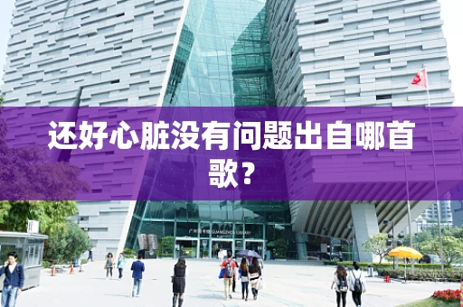 还好心脏没有问题出自哪首歌？