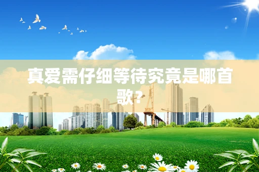 真爱需仔细等待究竟是哪首歌？