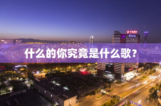 什么的你究竟是什么歌？
