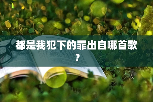 都是我犯下的罪出自哪首歌？