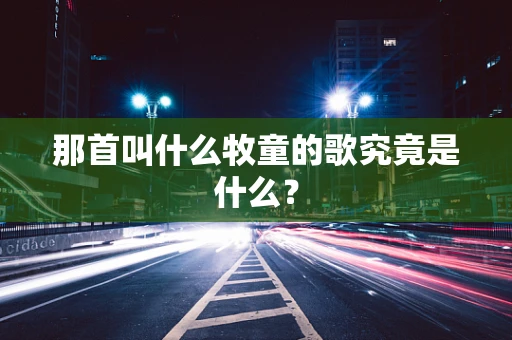 那首叫什么牧童的歌究竟是什么？