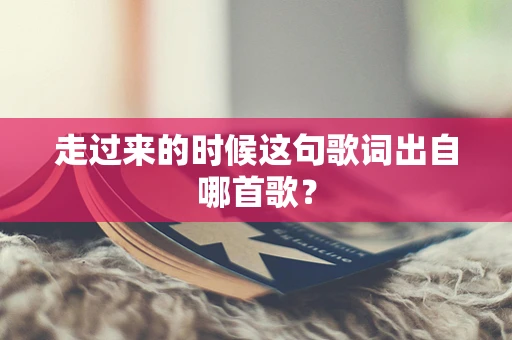 走过来的时候这句歌词出自哪首歌？