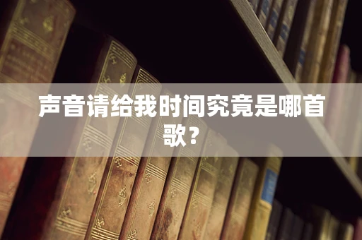 声音请给我时间究竟是哪首歌？