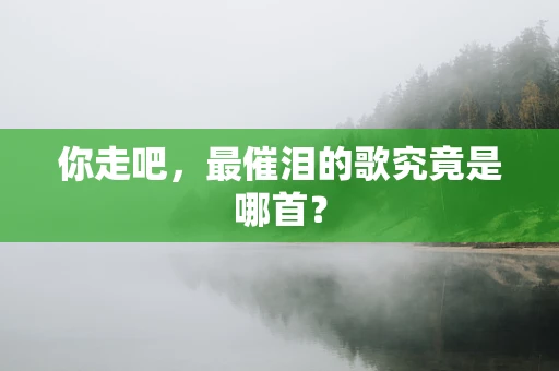 你走吧，最催泪的歌究竟是哪首？