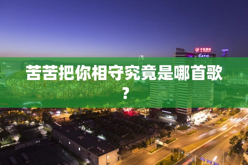 苦苦把你相守究竟是哪首歌？