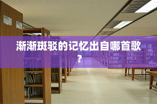 渐渐斑驳的记忆出自哪首歌？