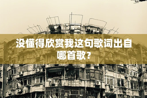 没懂得欣赏我这句歌词出自哪首歌？
