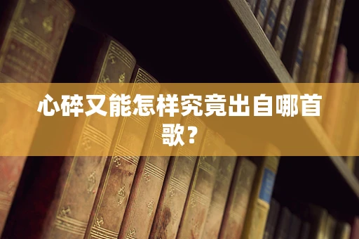 心碎又能怎样究竟出自哪首歌？