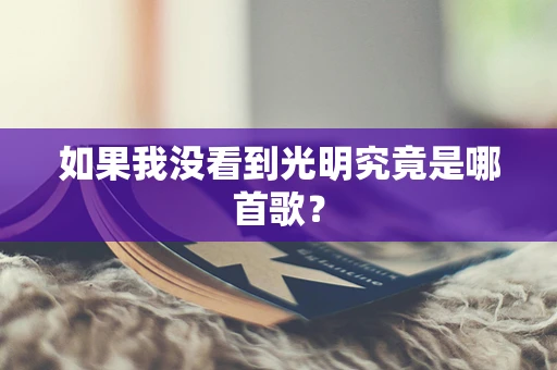 如果我没看到光明究竟是哪首歌？