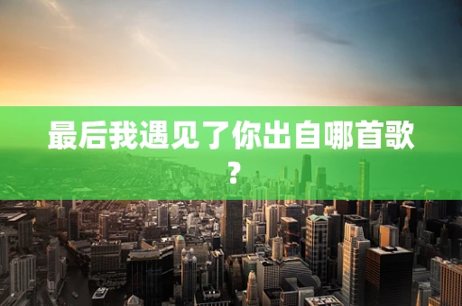 最后我遇见了你出自哪首歌？