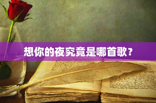 想你的夜究竟是哪首歌？